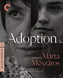 Adoption ( Örökbefogadás )
