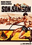 Son of Sampson ( Maciste nella valle dei re )