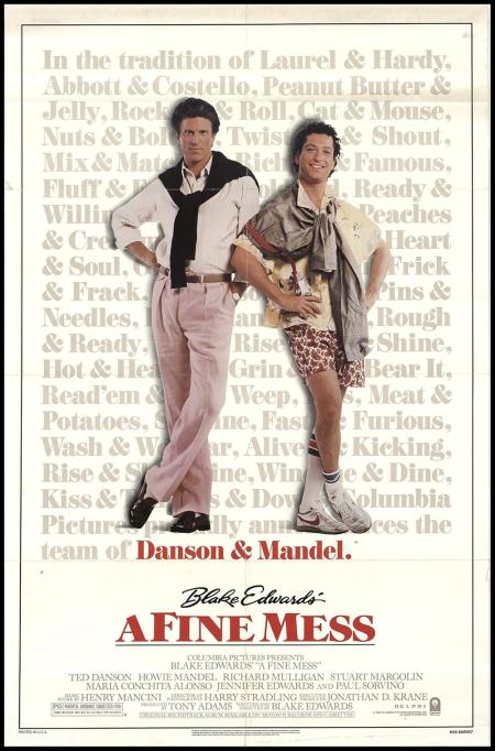 A Fine Mess