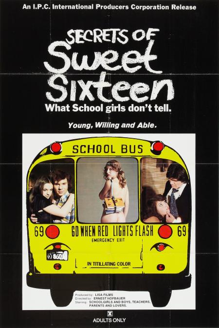 Secrets of Sweet Sixteen ( Was Schulmädchen verschweigen )
