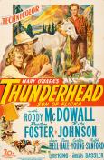 Thunderhead - Son of Flicka Thunderhead - Son of Flicka