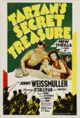 Tarzan's Secret Treasure