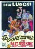 Spooks Run Wild