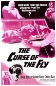 Curse of the Fly Curse of the Fly