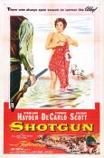 Shotgun Shotgun