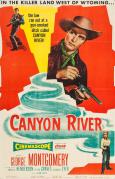 Canyon River