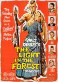 The Light in the Forest