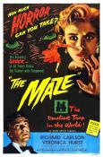 The Maze