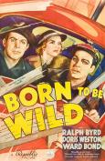 Born to Be Wild Born to Be Wild