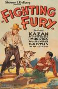 Fighting Fury